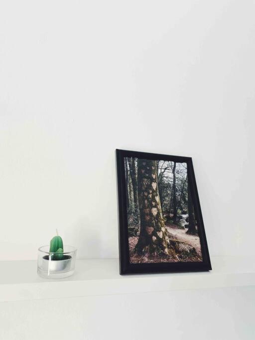 소펠라나 Precioso Apartamento Con Banera Hidromasaje 아파트 외부 사진
